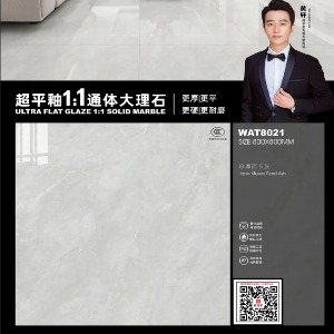 800*800通体大理石系列产品